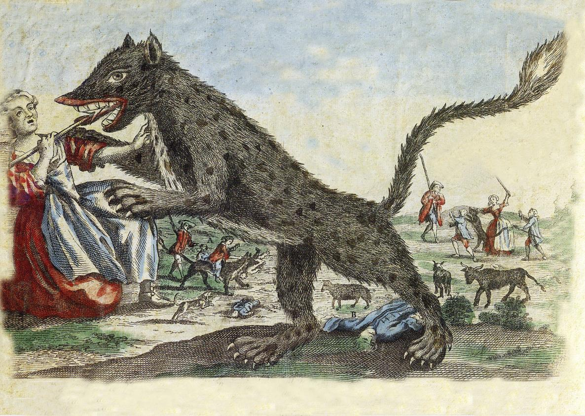 Жеводанский зверь оборотень. Жеводанский волк людоед. Жеводанский зверь 1764. Бурая гиена Жеводанский зверь. Мой муж герцог прозванный зверем 29